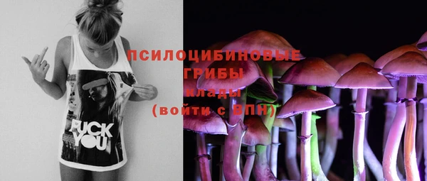 mix Богданович